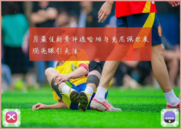 月最佳新秀评选哈珀与克尼佩尔表现亮眼引关注